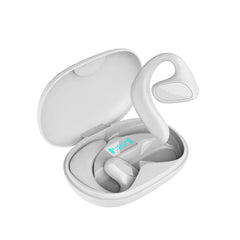 Bluetooth Smart Translation Earphones